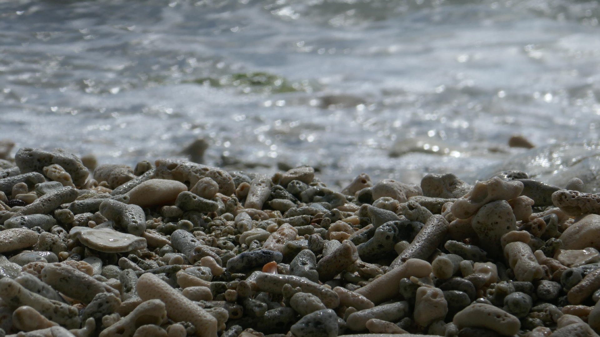 2022-10-29 13 Uhr 27 Playa Kalki (Foto, Video)